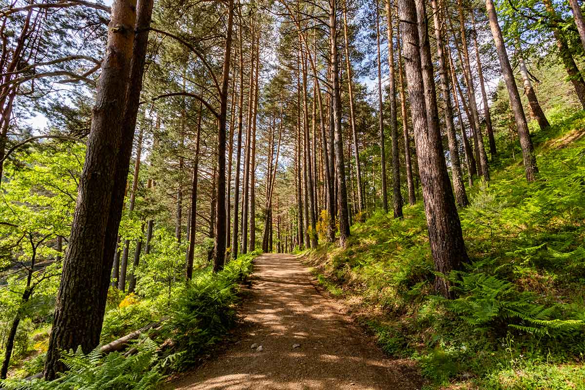 caminos  ::  Locations