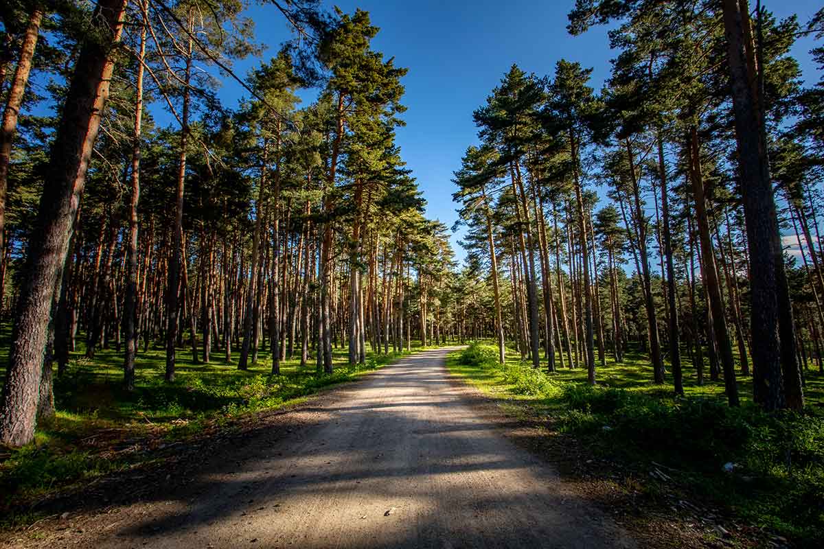 caminos  ::  Locations