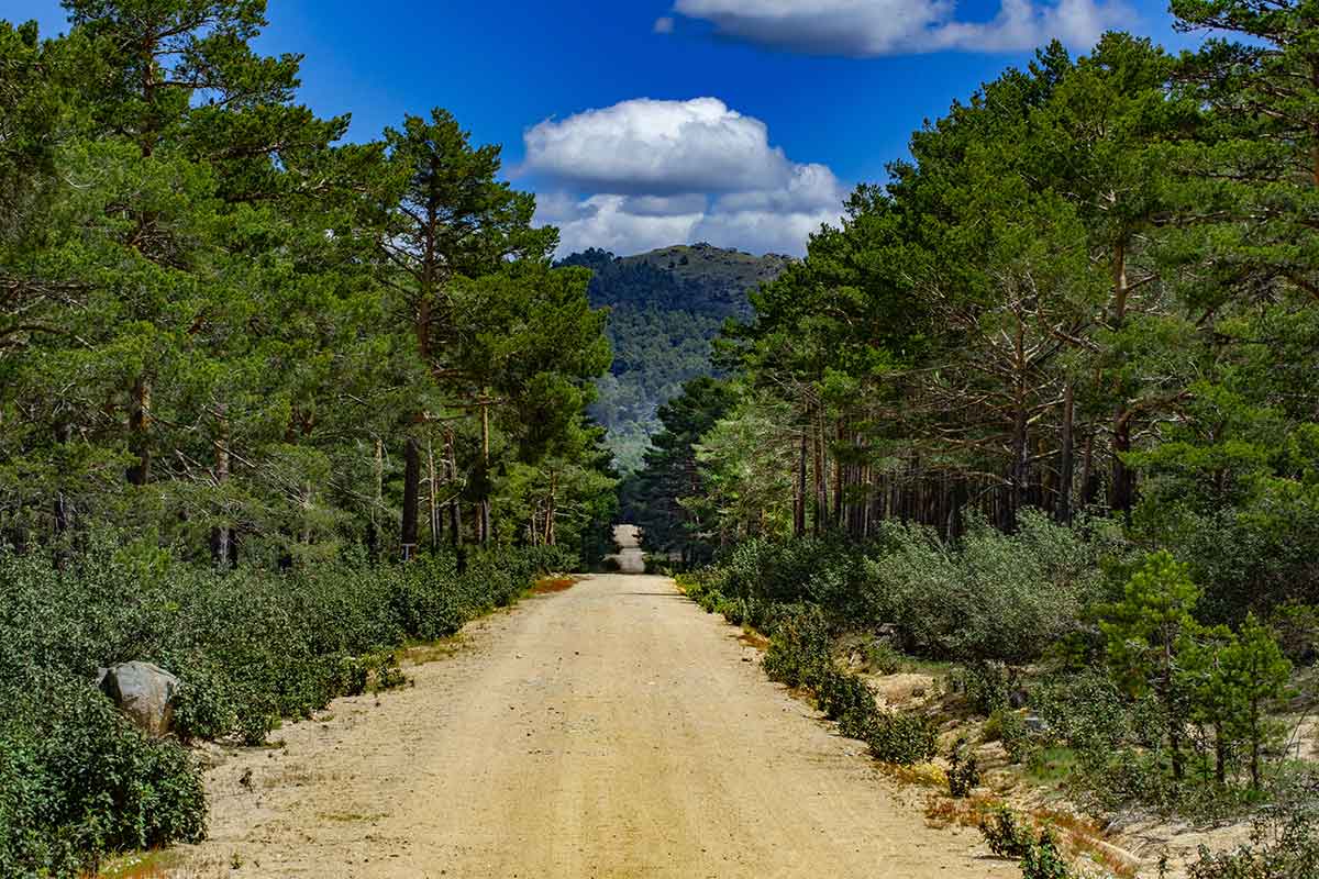 caminos  ::  Locations