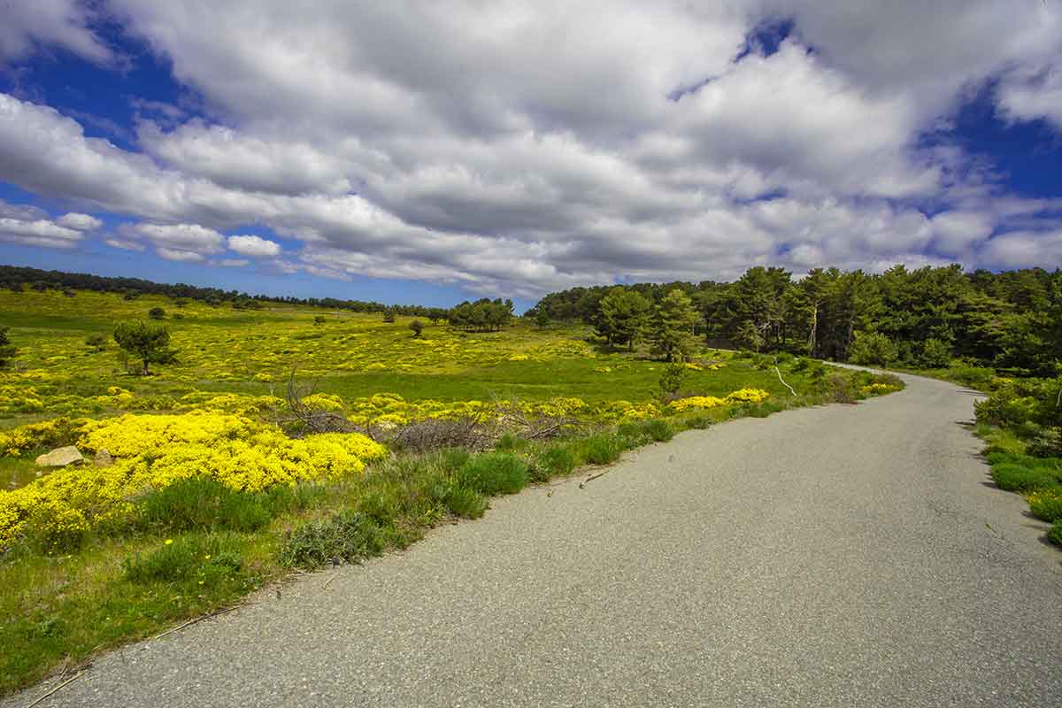 caminos  ::  Locations