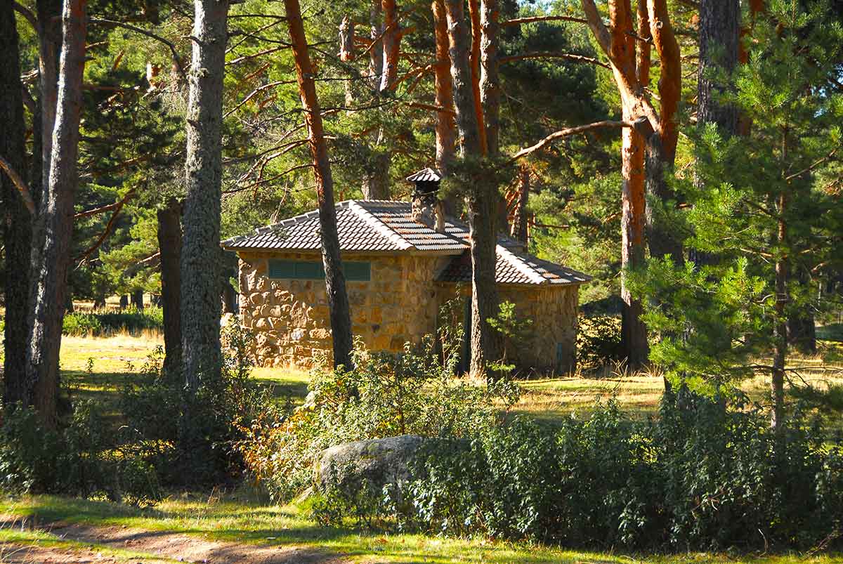 campamentos  ::  Locations